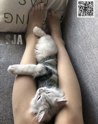 86版农场主的女儿们美国_DVD天堂在线