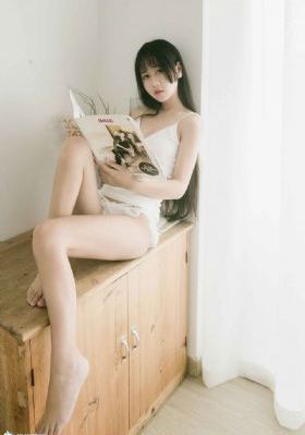 一条狗的使命2_DVD在线观看高清