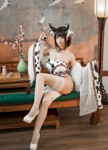 添b视频_90集免费观看