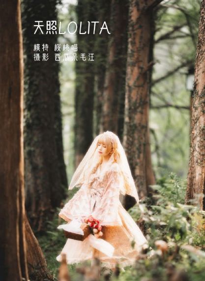 熊出没过年在线观看完整版_BD韩语HD高清在线观看