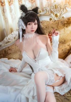 髙清视频播放在线观看_HD免费观看超清